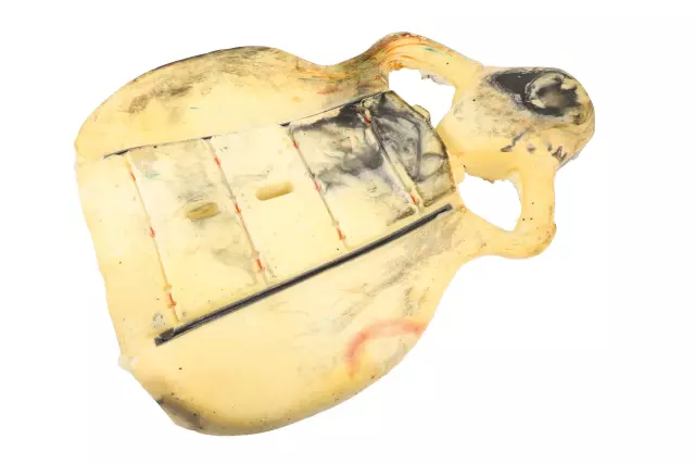 84106160 - : Seat Back Pad for Chevrolet: Corvette Image