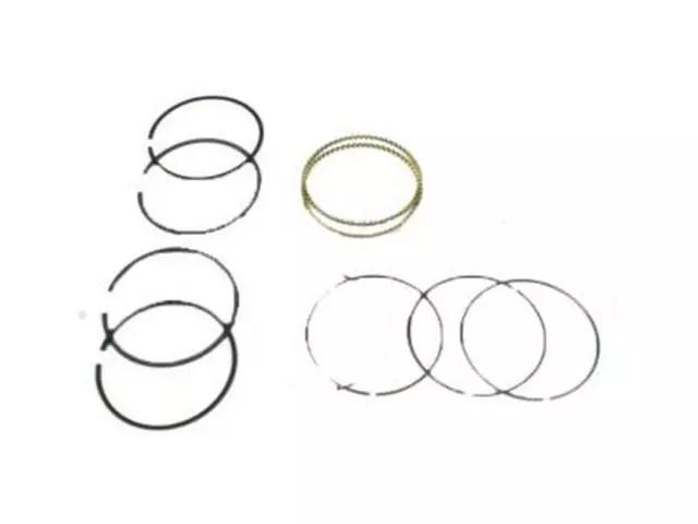 6L3Z6148A - : Piston Rings for Ford: Crown Victoria, E-150, E-150 Club Wagon, E-150 Econoline, E-150 Econoline Club Wagon, E-250, E-250 Econoline, E-350 Club Wagon, E-350 Econoline, E-350 Econoline Club Wagon, E-350 Super Duty, E-450 Econoline Super Duty, E-450 Super Duty, E-550 Econoline Super Duty, E-550 Super Duty, Econoline Super Duty, Excursion, Expedition, Explorer, Explorer Sport Trac, F-150, F-150 Heritage, F-250, F-250 Super Duty, F-350 Super Duty, F-450 Super Duty, F-550 Super Duty, Mustang, Thunderbird | Lincoln: Blackwood, Continental, Mark LT, Navigator, Town Car | Mercury: Cougar, Grand Marquis, Marauder, Mountaineer Image