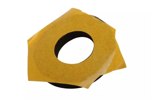 Rear Fascia Signal Lamp Seal - GM (39090944)