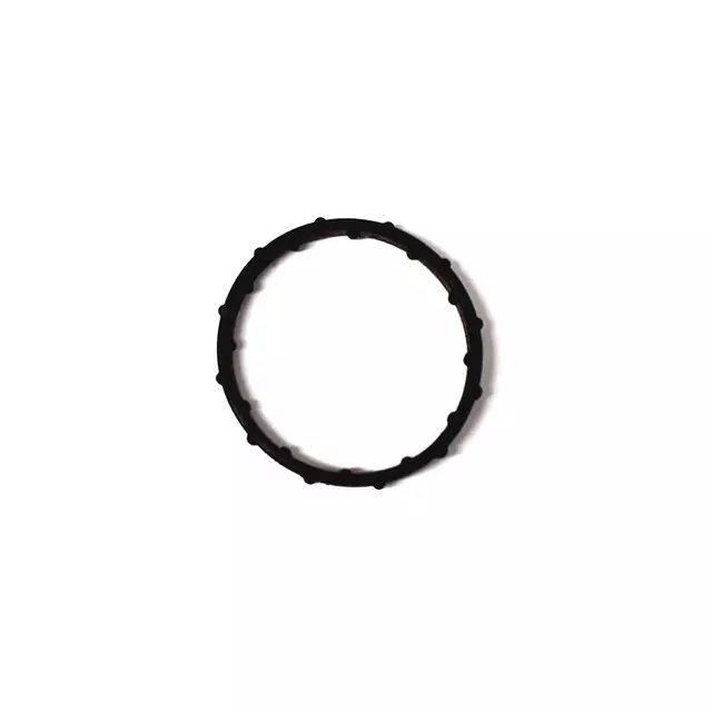 6E121119K - : Water Pipe O-Ring for Audi: A6 Quattro, A7 Quattro, A8 Quattro, Q5, Q7, S4, S5, SQ5 Image