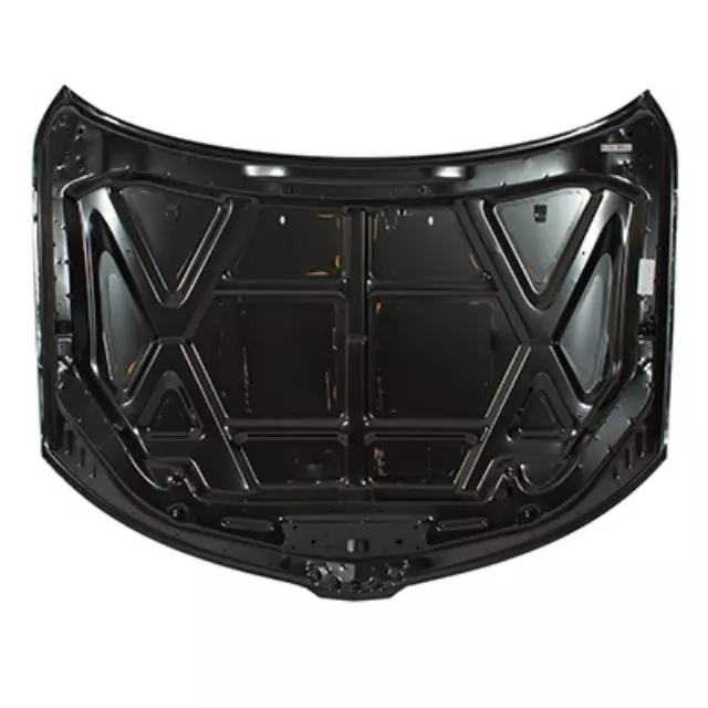 Hood - Ford (9H6Z16612A)