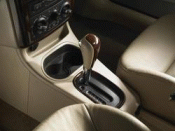 Automatic Transmission Shift Lever Knob - GM (17801908)