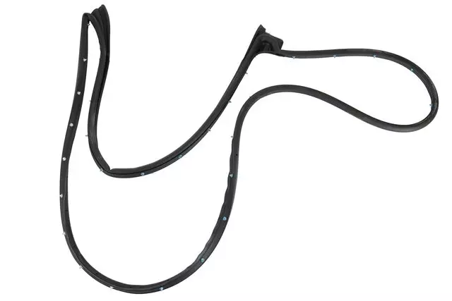 84234296 - Body: Door Weather-strip for Chevrolet: Colorado | GMC: Canyon Image