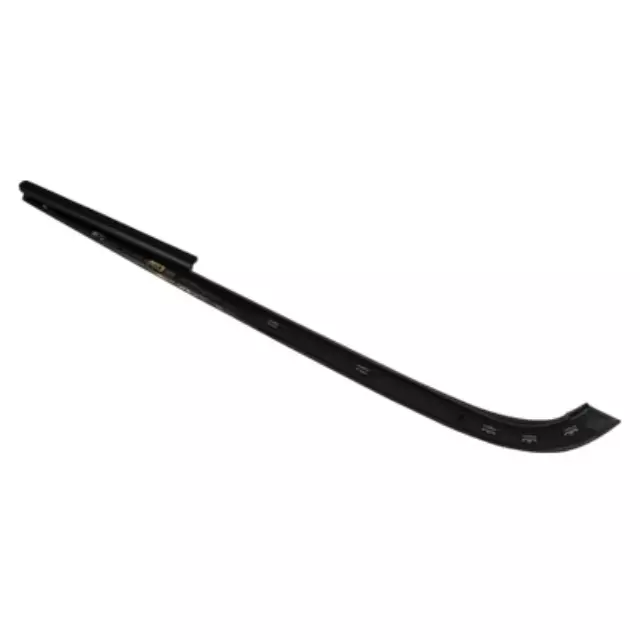 Outer Molding - Ford (AR3Z-76423A18-AA)