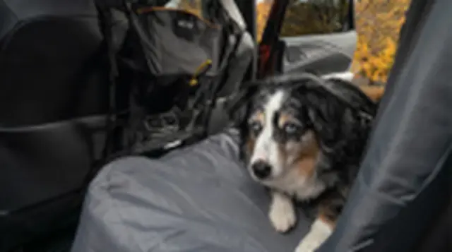 PTN5989233 - Interior: Kurgo Wander Bench Seat Cover for Toyota: Prius Prime Image