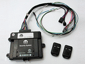 82209701 - : Security With Keyless for Mopar Image