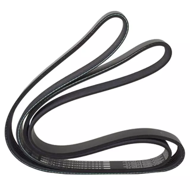 Water Pump Belt - Ford (BL3Z-8620-G)
