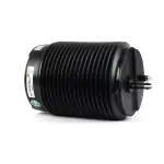 A3307 - : Arnott Air Suspension Spring for Arnott Image