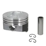 H815DCP20 - : Engine Piston Set for SEALED POWER Image