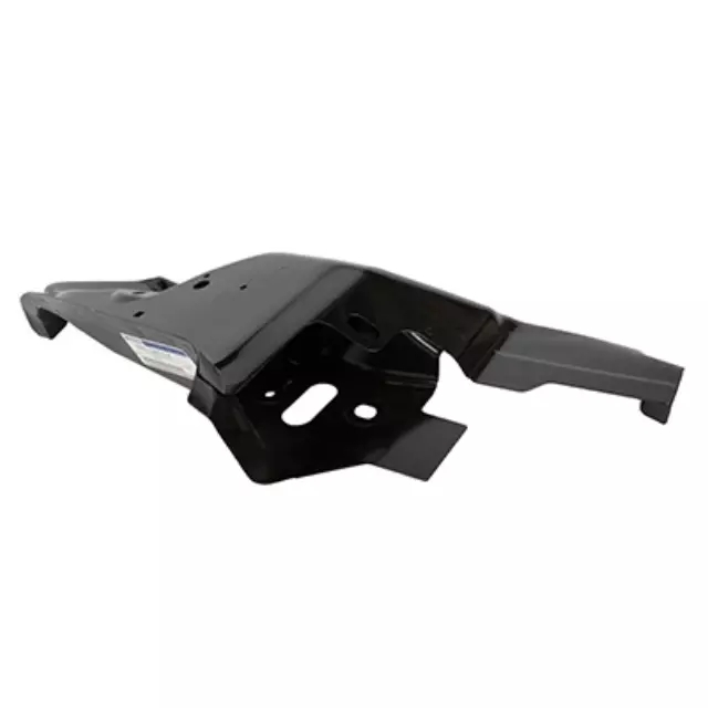 Tail Lamp Panel - Ford (D2BZ-13A418-A)