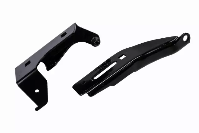 19207219 - Body: Hinge for Cadillac: STS Image