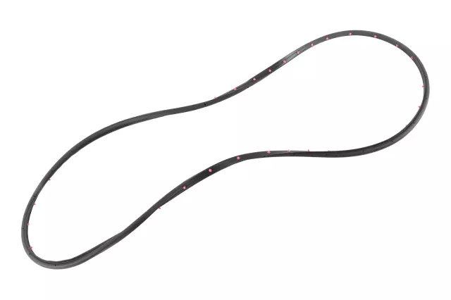 Rear Passenger Side Door Weatherstrip - GM (42766266)