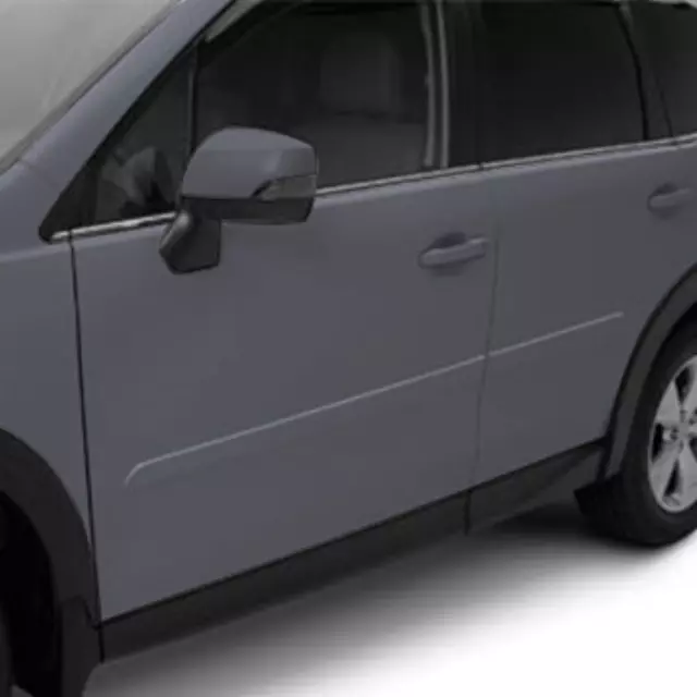 Body Side Molding - Ice Silver Metallic - Subaru (J101SSG703TR)