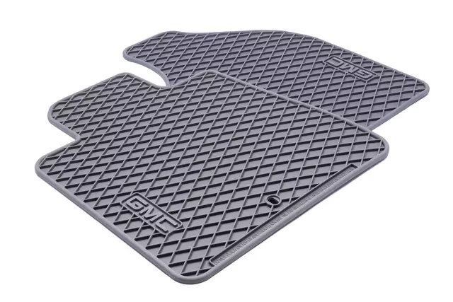 Floor Mats, All-Weather, Front - GM (22890397)
