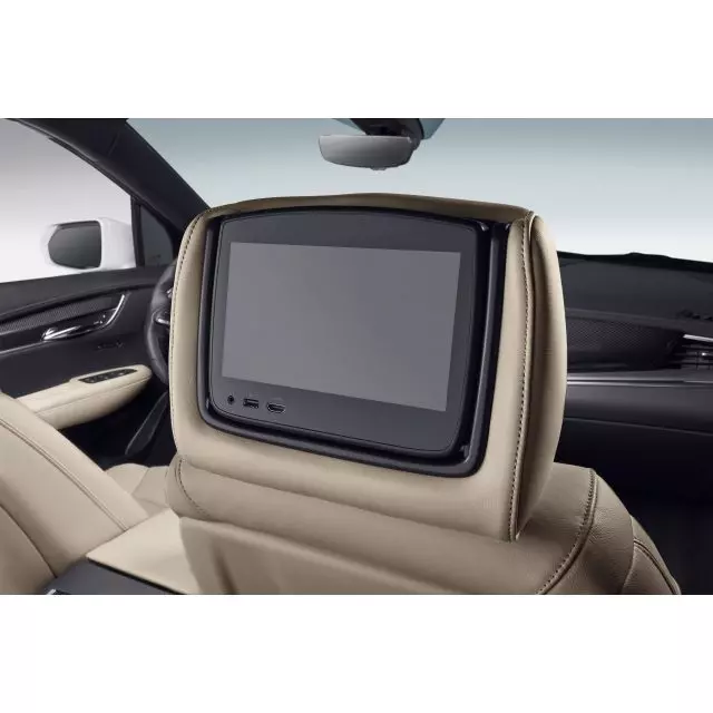 Headrest and Video Screen Assembly - GM (84687341)