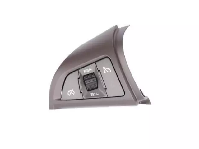 Cocoa and Dark Argent Cruise Control Switch - GM (22821938)