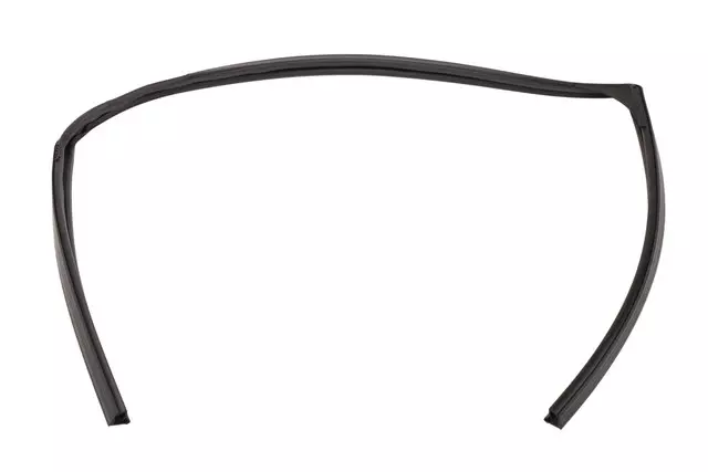 Part# 20939317 Rear Driver Side Door Window Outer Weatherstrip - GM (20939317)