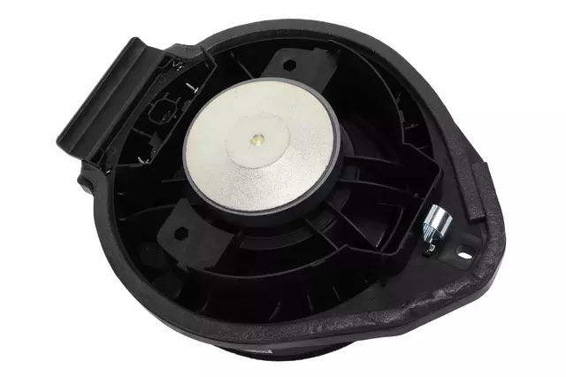 Rear Dr Speaker - GM (39243285)