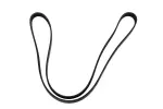 19244954 - Belts &amp; Cooling: Serpentine Belt for GM Image