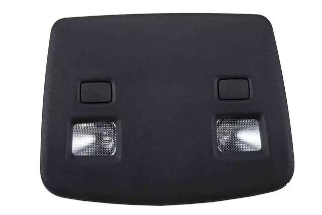 Ebony Roof Rear Console - GM (20896904)