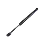 4589645AB - Body Sheet Metal Except Doors: Gas Prop for Dodge: Challenger Image