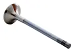 EM4443 - : Engine Exhaust Valve for Enginetech Image