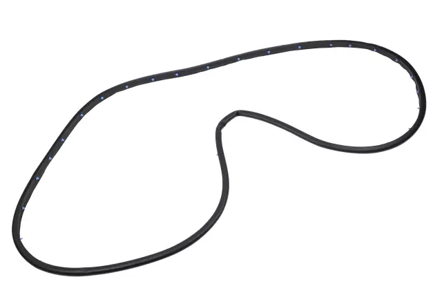 42440847 - : Door Weather-Strip for Chevrolet: Blazer Image