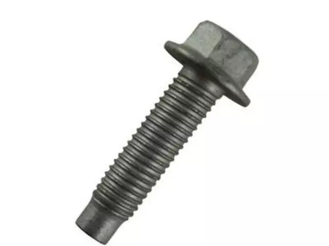 Lower Shaft Lower Bolt - Ford (W713065-S439)