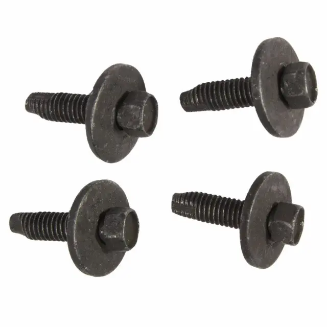 N807658S307 - Body: Striker Plate Screw for Ford Image