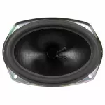 DP5Z18808E - : Pkg Tray Speaker for Ford: Fusion, Police Responder Hybrid, SSV Plug-In Hybrid | Lincoln: MKZ Image