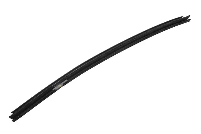 10372820 - Body: Seal Strip for Buick: Enclave Image
