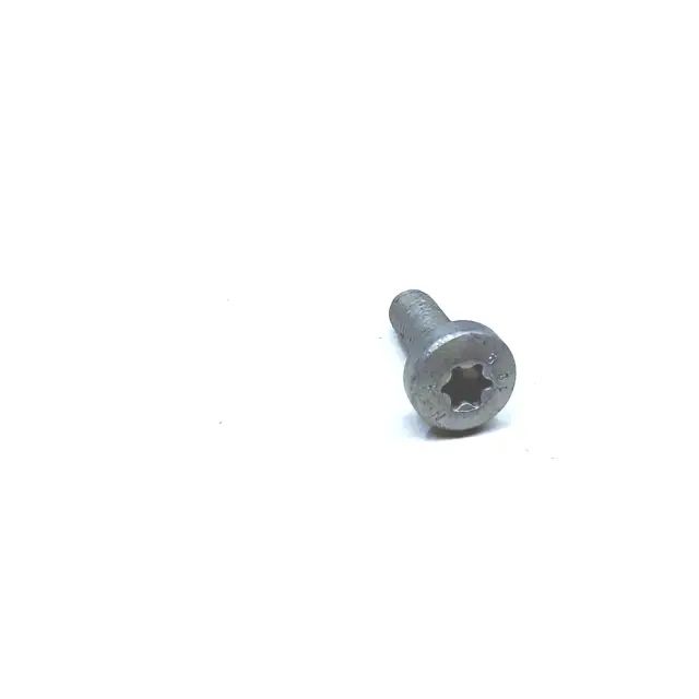 N10196105 - Hardware and Service Supplies: Screw for Lamborghini Image