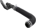 215036CA0A - Cooling System: Lower Hose for Nissan: Altima Image
