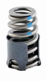 ERV1450 - : Engine Valve Spring for Enginetech Image