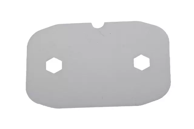 10387651 - Body: Striker Washer for GM Image