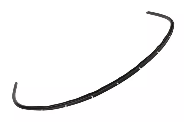 Weatherstrip - GM (84160201)