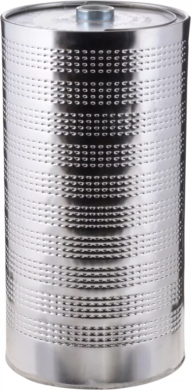 Filter - GM (C3019)