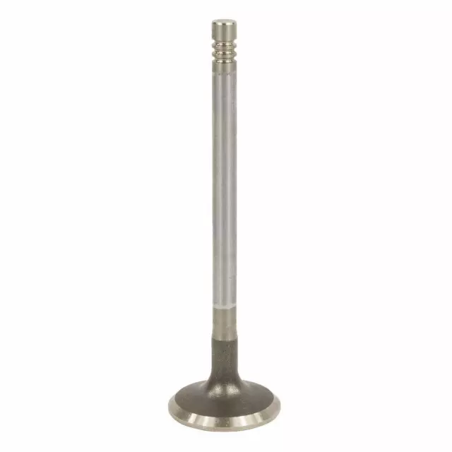 4S7Z6507A - : Intake Valve for Ford: F-150 Image