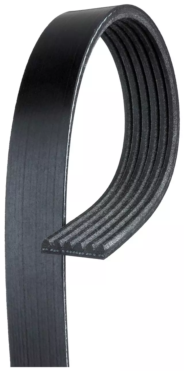Serpentine Belt - GM (19355278)