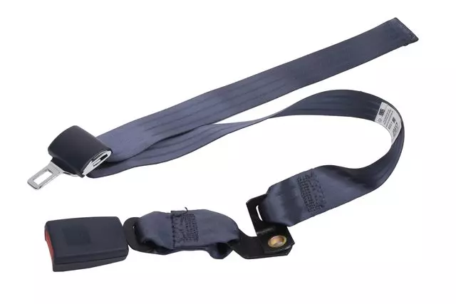 12375268 - Body: Latch for GM Image