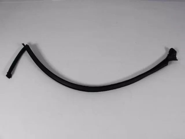 Door Glass Weatherstrip, Left - Mopar (5174507AA)