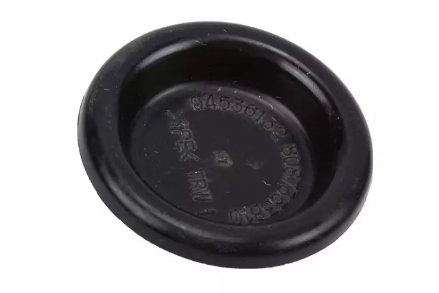 ABS Wheel Speed Sensor Hole Plug - GM (94536132)