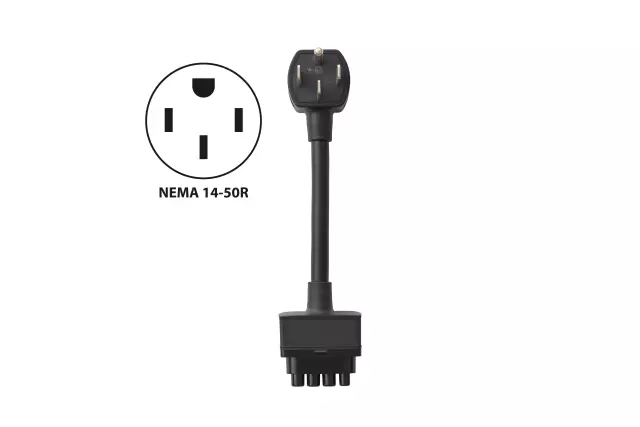 F Cord - GM (84900631)