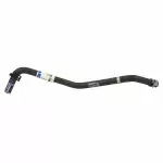 FL3Z8075C - : Overflow Hose for Ford: Expedition, F-150 | Lincoln: Navigator Image