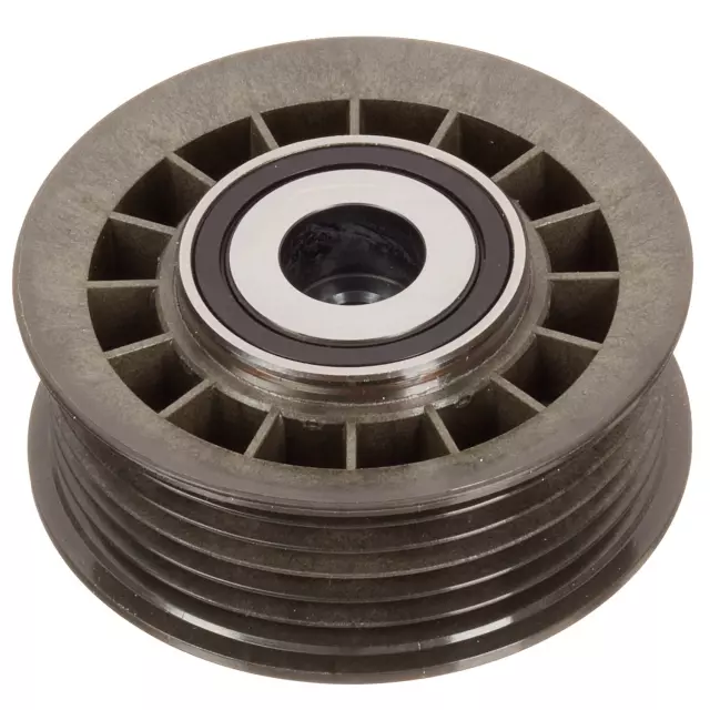 FP00271 - : Accessory Drive Belt Idler Assembly for INA US Image