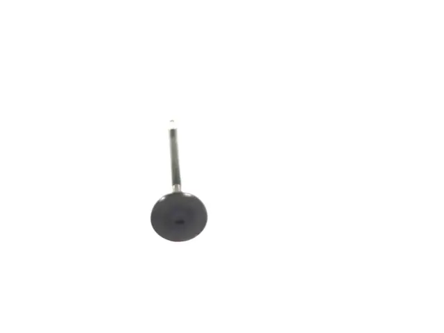 5048022AA - Engine: Exhaust Valve for Mopar Image