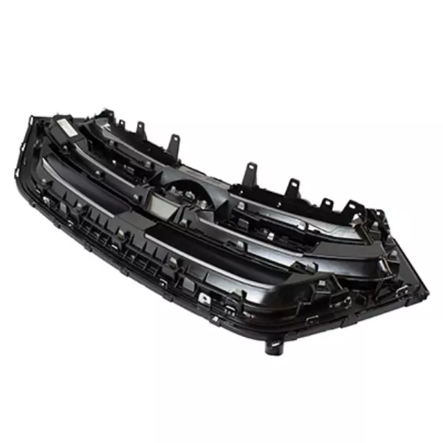 Grille - Ford (FT4Z-8200-AA)