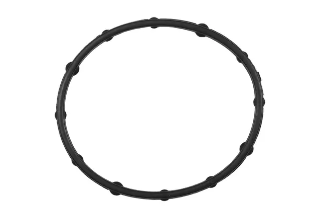 12646951 - : Water Pump Seal for GM Image