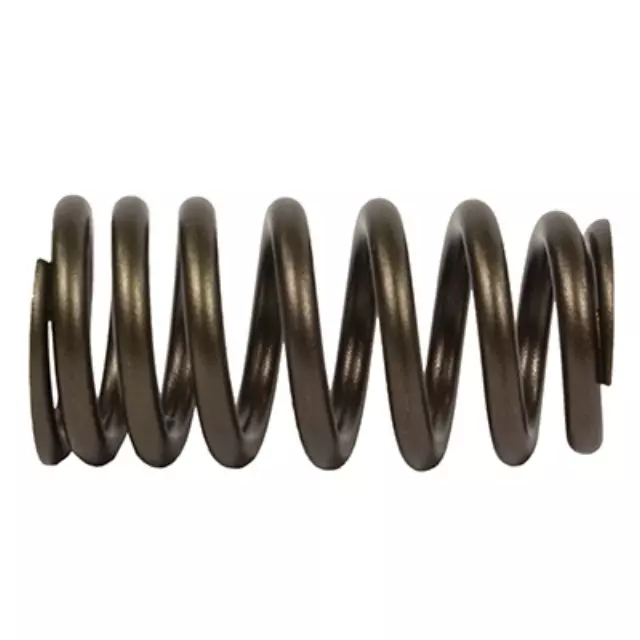 Valve Springs - Ford (ET4Z-6513-B)