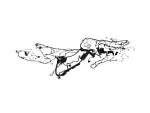 68581045AD - : Body Wiring for Mopar Image